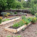 Liquorice Park Herb Garden
