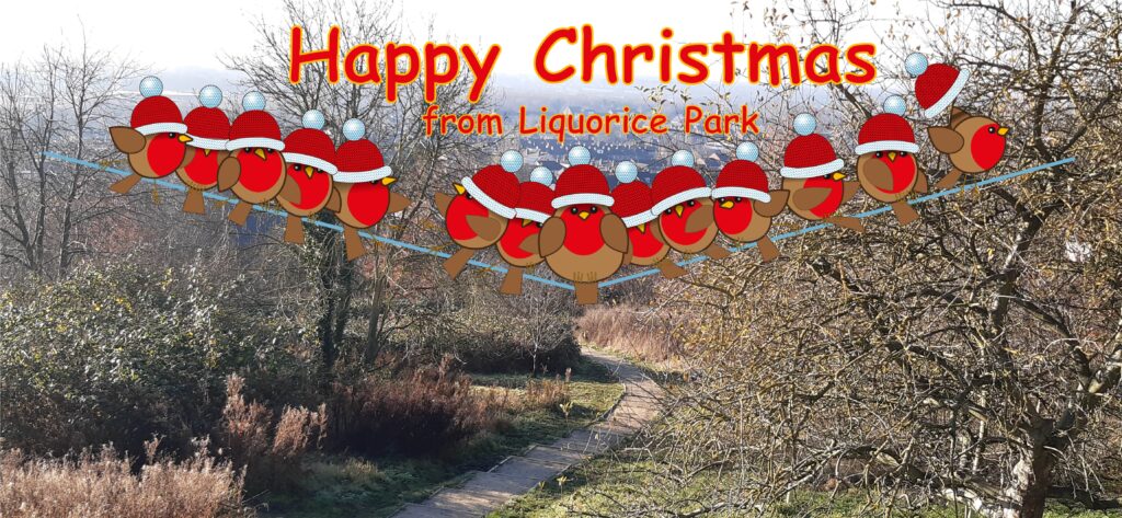 Happy Christmas from Liquorice Park